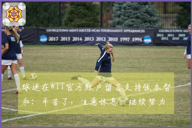 球迷在WTT官方账户留言支持张本智和：辛苦了，注意休息，继续努力