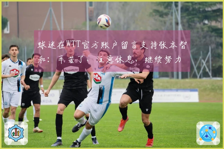 球迷在WTT官方账户留言支持张本智和：辛苦了，注意休息，继续努力